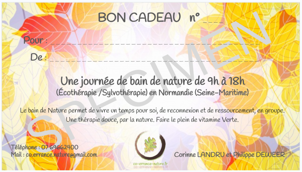 chèque cadeau Bain de Nature écothérapie
